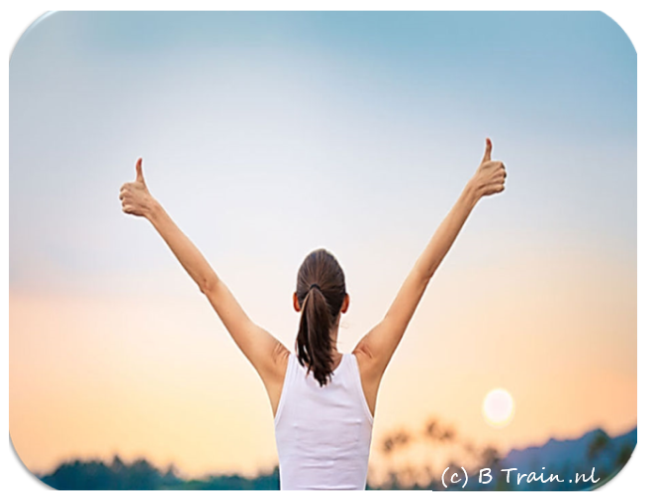 &copy; Copyrights / Auteursrechten